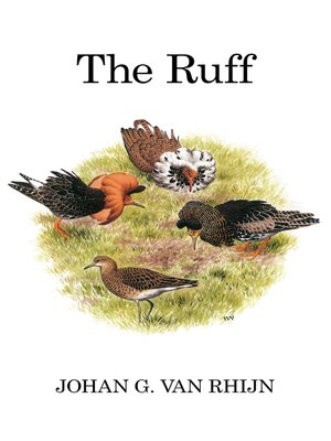 cover image of The Ruff